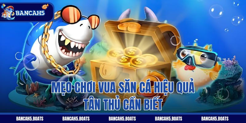 Mẹo chơi Vua săn cá hiệu quả tân thủ cần biết