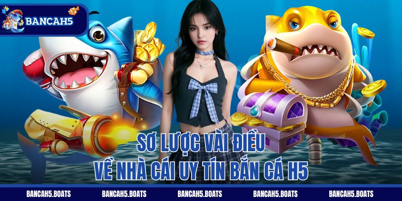 Sơ lược vài điều về nhà cái uy tín Bắn Cá H5